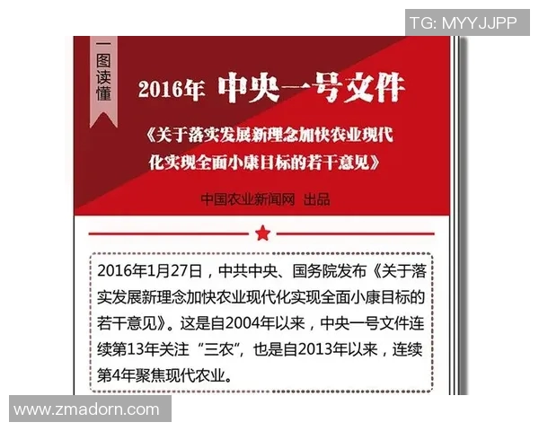 中共中央召开会议强调全面深化改革，推动国家治理现代化迈向新阶段