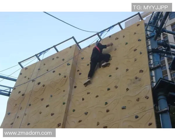 心理素质训练在提高个人应对压力与挑战能力中的关键作用与实践策略