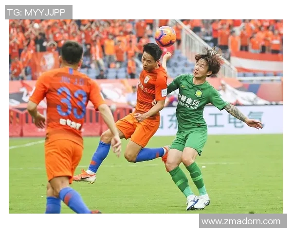 北京乒乓球队节奏争议引发热议球迷与专家各执己见的背后故事