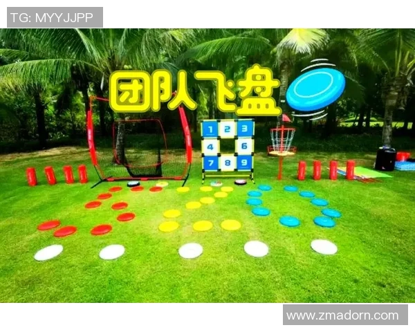 武汉飞盘队的速度之美：探索飞盘运动的魅力与激情